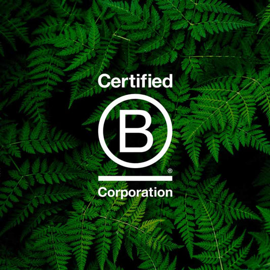 Orba gains B-Corp accreditation in record time.